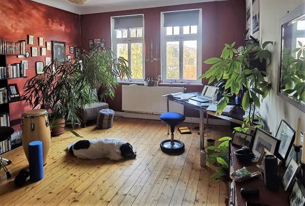Mein Arbeitszimmer mit vielen Pflanzen, Büchern, einer Trommel, meinem Hund... Ob da Potential zum Aufräumen vorhanden ist?