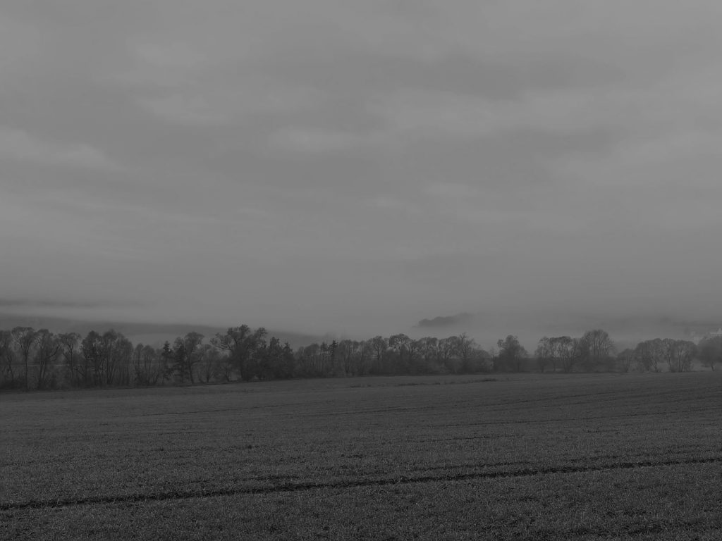 Ein schwarz-weißes Landschaftsfoto von Feldern und Bäumen im Nebel. Ein Bild für Novemberblues.