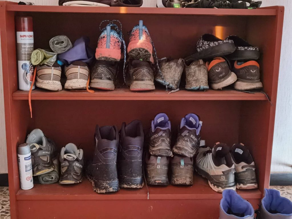 Fun Fact: Ich habe keinen Schuhtick. Foto eines Schuhregals mit sehr vielen Sportschuhen.