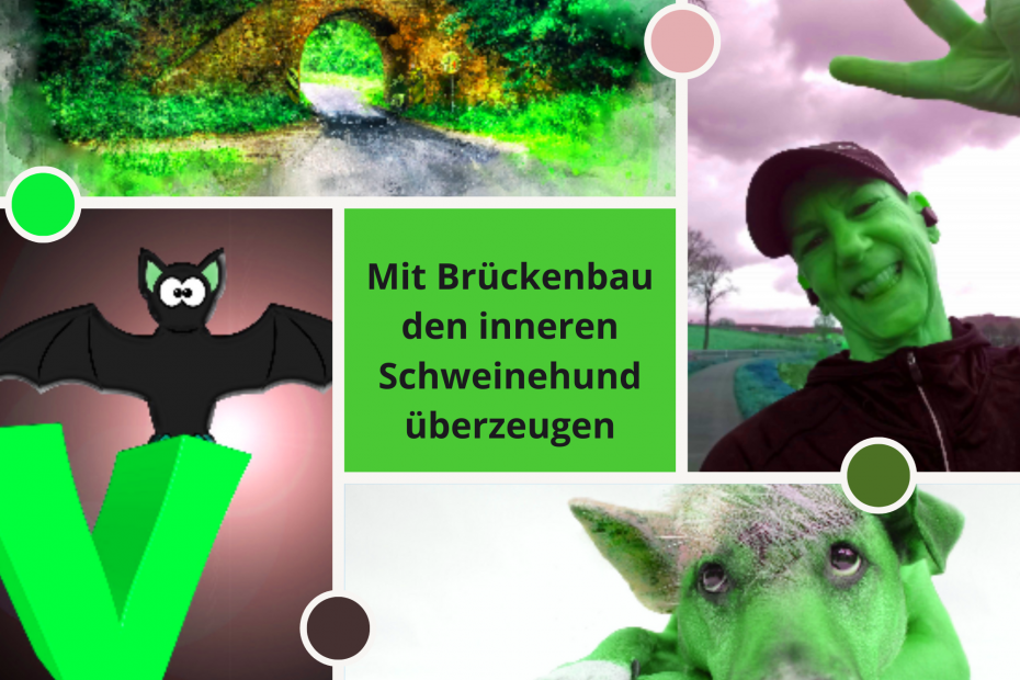 Brueckenbau innerer Schweinehund Beitragsfoto
